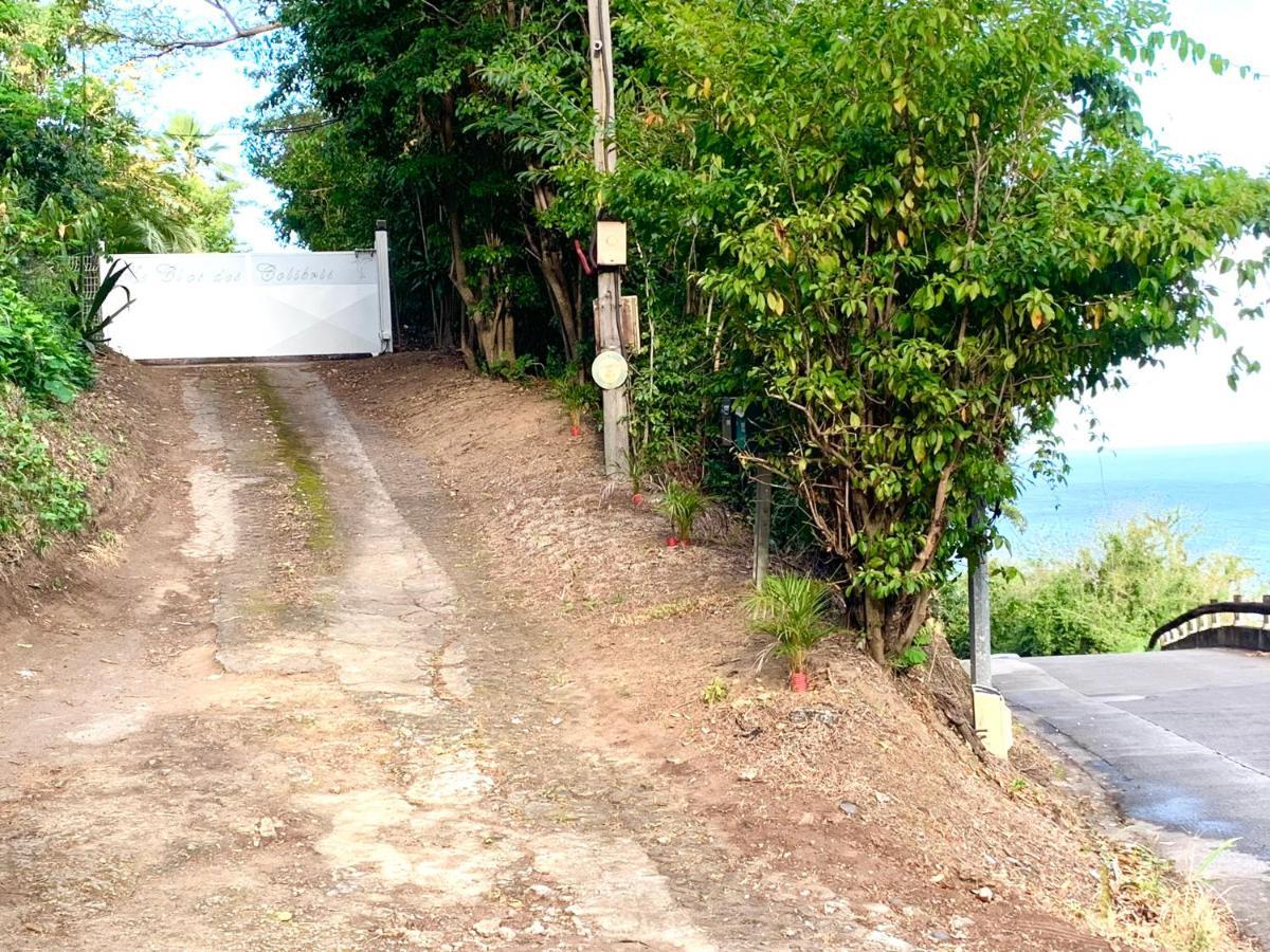 Lodge Pamplemousse Avec Piscine Privative , Dans Parc Calme A 500 M Plage Le Carbet Buitenkant foto